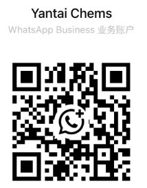 WhatsApp QR Code